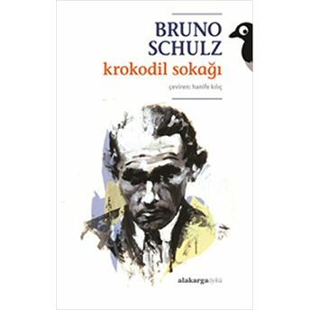 Krokodil Sokağı Bruno Schulz