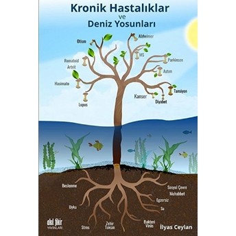 Kronik Hastalıklar Ve Deniz Yosunları Ilyas Ceylan