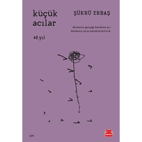 Küçük Acılar Şükrü Erbaş