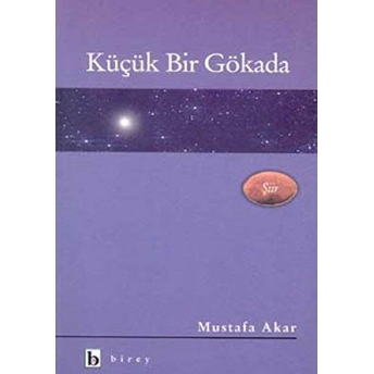 Küçük Bir Gökada