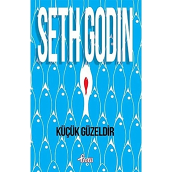 Küçük Güzeldir Seth Godin