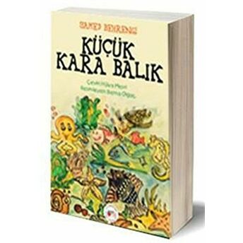 Küçük Kara Balık Samed Behrengi