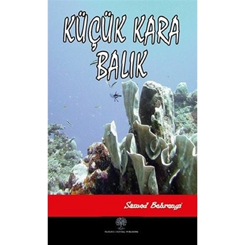 Küçük Kara Balık - Samed Behrengi