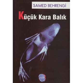 Küçük Kara Balık Samed Behrengi