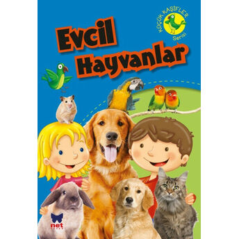 Küçük Kaşifler Serisi - Evcil Hayvanlar Kolektif