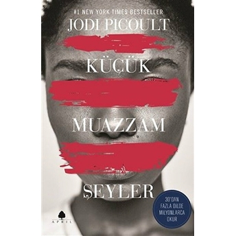 Küçük Muazzam Şeyler Jodi Picoult