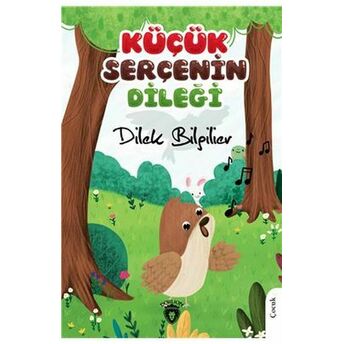 Küçük Serçenin Dileği Dilek Bilgilier