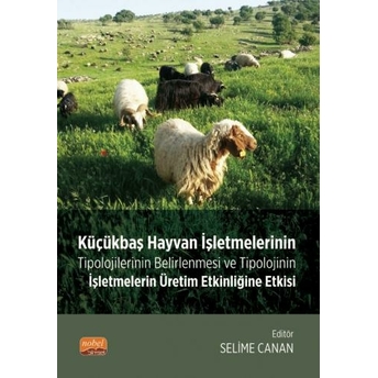 Küçükbaş Hayvan Işletmelerinin Tipolojilerinin Belirlenmesi Ve Tipolojinin Işletmelerin Üretim Etkinliğine Etkisi Selime Canan