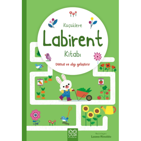 Küçüklere Labirent Kitabı Matthew Oldham