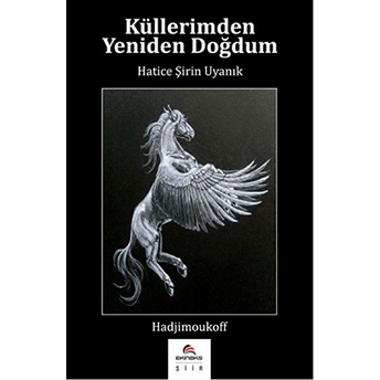 Küllerimden Yeniden Doğdum Hatice Şirin Uyanık