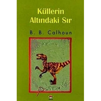 Küllerin Altındaki Sır B. B. Calhoun