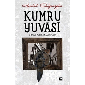 Kumru Yuvası Asalet Salgınoğlu