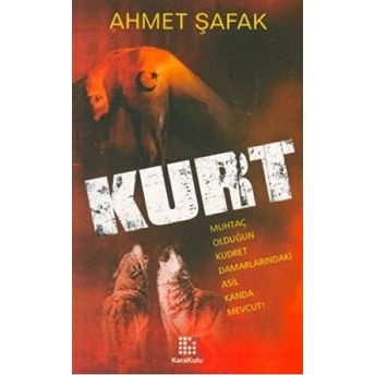 Kurt 2015 Ahmet Şafak