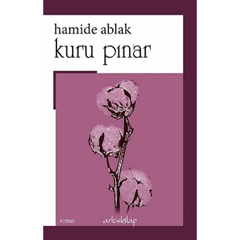 Kuru Pınar Hamide Ablak