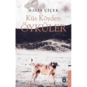 Küs Köyden Öyküler - Halis Çiçek