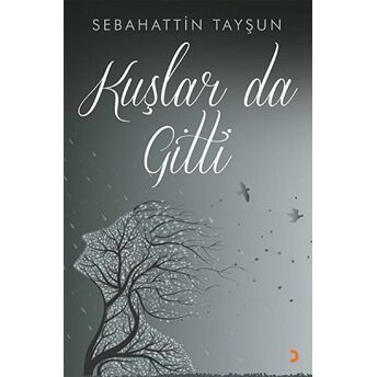 Kuşlar Da Gitti - Sebahattin Tayşun