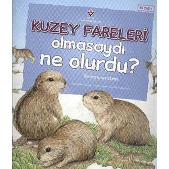 Kuzey Fareleri Olmasaydı Ne Olurdu? Suzanne Slade