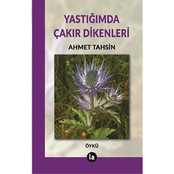 La Kitap Yayınları Yastığımda Çakır Dikenleri