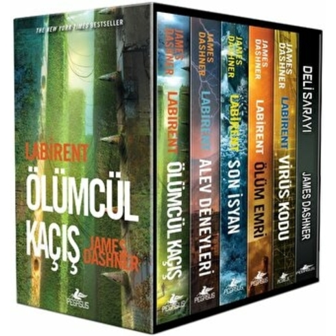 Labirent Serisi Kutulu Özel Set (6 Kitap)