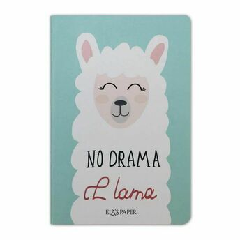 Lama Notebook Su Yeşili - Defter