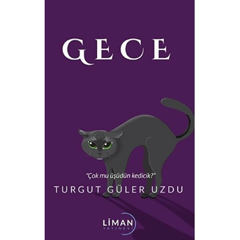 Liman Yayınevi Gece - Kolektif