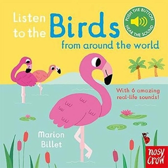 Listen To The Birds From Around The World