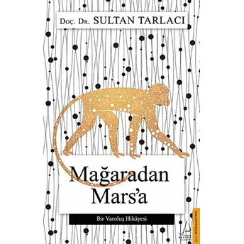 Mağaradan Marsa Sultan Tarlacı