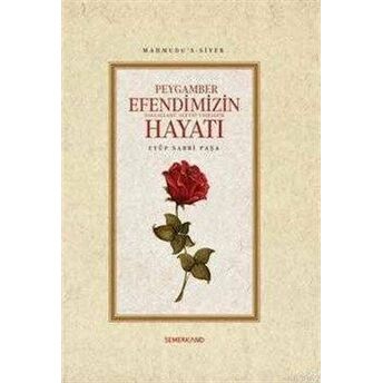 Mahmudu's-Siyer Peygamber Efendimizin (S.a.v.) Hayatı Eyüb Sabri Paşa