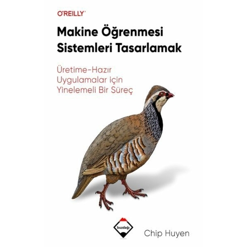 Makine Öğrenmesi Sistemleri Tasarlamak Chip Huyen