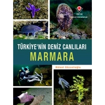 Marmara - Türkiye'Nin Deniz Canlıları Ciltli Bülent Gözcelioğlu