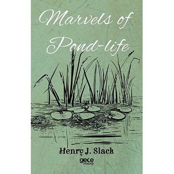 Marvels Of Pond-Life