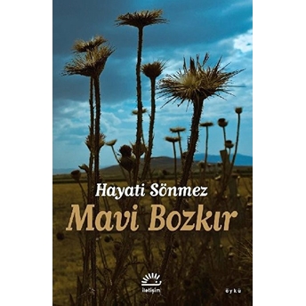 Mavi Bozkır Hüseyin Sönmez