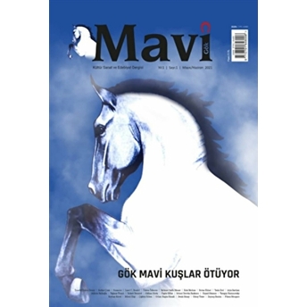 Mavi Gök Kültür Sanat Edebiyat Dergisi Sayı: 1 Mayıs - Haziran 2021 Kolektif