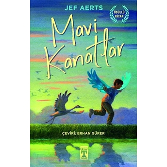 Mavi Kanatlar Jef Aerts