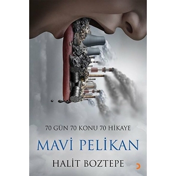 Mavi Pelikan Halit Boztepe