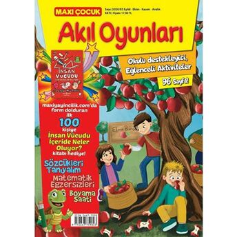 Maxi Çocuk Akıl Oyunları 3 Kolektif