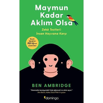 Maymun Kadar Aklım Olsa Ben Ambridge