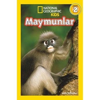 Maymunlar