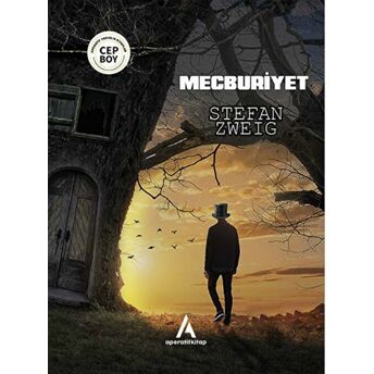 Mecburiyet Cep Boy Stefan Zweig