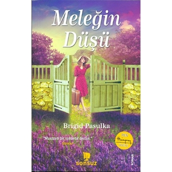 Meleğin Düşü Brigid Pasulka