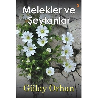 Melekler Ve Şeytanlar - Gülay Orhan