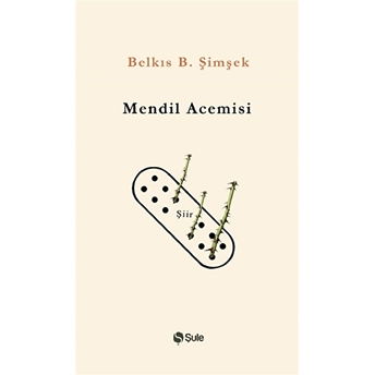 Mendil Acemisi Belkıs B. Şimşek