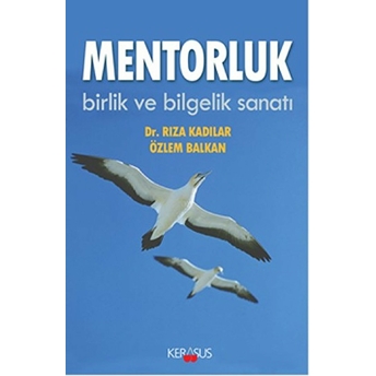 Mentorluk Özlem Balkan