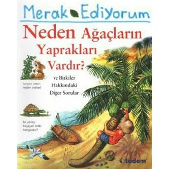 Merak Ediyorum Neden Ağaçların Yaprakları Vardır? Andrew Charman