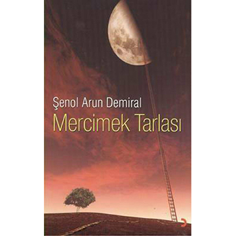 Mercimek Tarlası