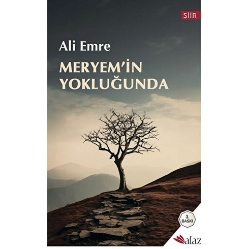 Meryem'in Yokluğunda Ali Emre