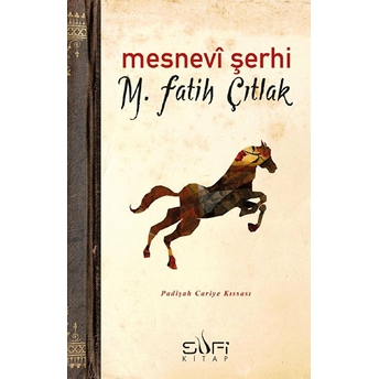 Mesnevi Şerhi M. Fatih Çıtlak