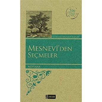 Mesnevi'den Seçmeler (Kenar Boyalı) / 100 Temel Eser Mevlana Celaleddin Rumi