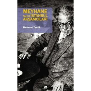 Meyhane Yahut Istanbul Akşamcıları Mehmet Tevfik