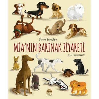 Mia’nın Barınak Ziyareti Claire Smedley